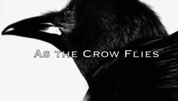 As The Crow Flies.mp4