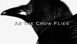 As%20The%20Crow%20Flies.mp4